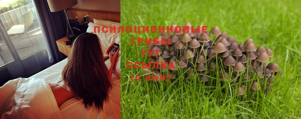 гидропоника Балахна