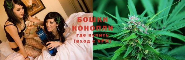 гидропоника Балахна